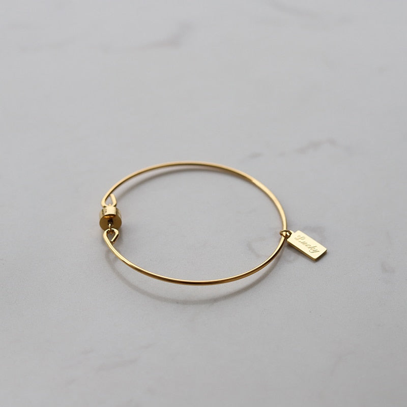 Bracelet jonc plaque porte-bonheur, acier inoxydable